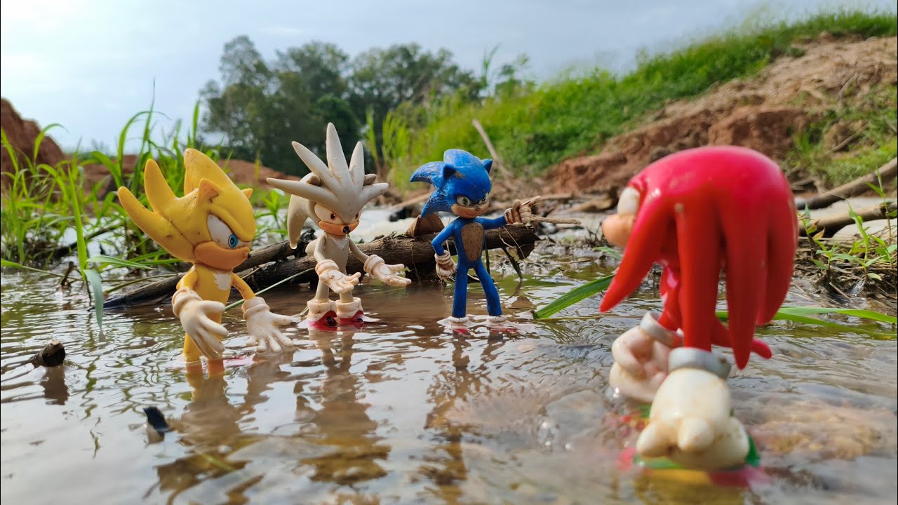 Hunting Sonic The Hedgehog:Sonic/Knuckles/Silver/Shadow/Metal Sonic/Tails/Amy Rose/Egg Man/Robotnic