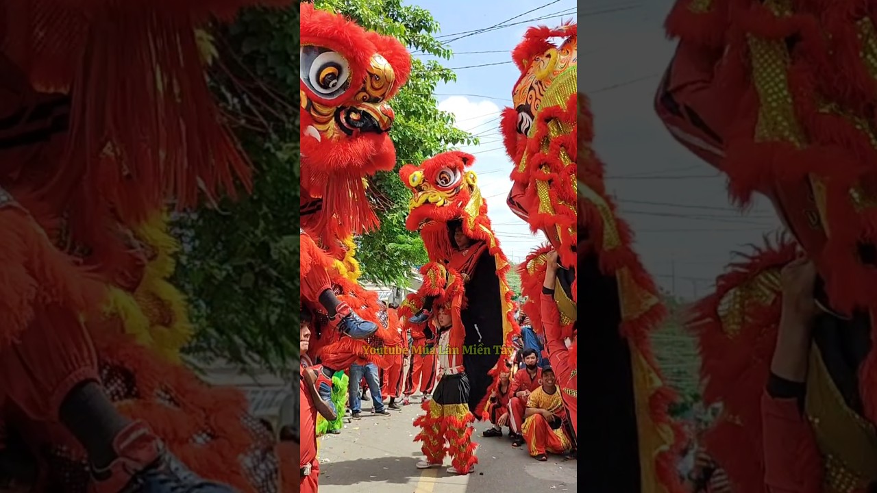 M&uacute;a L&acirc;n Cực Hay #mualanhay #mualantet #liondance #lansurong #skibiditoilet #bibitv #conlan