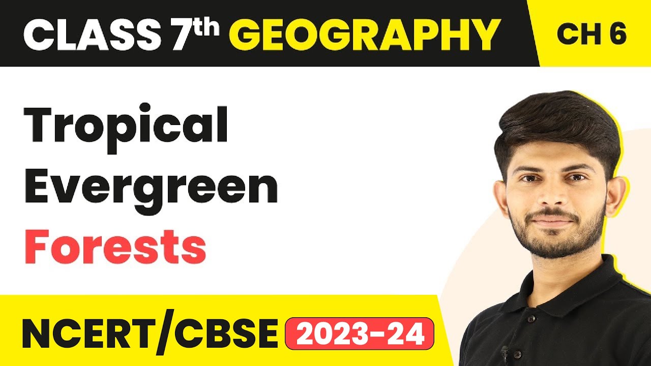 Tropical Evergreen Forests - Natural Vegetation and Wildlife | Class 7 Geography