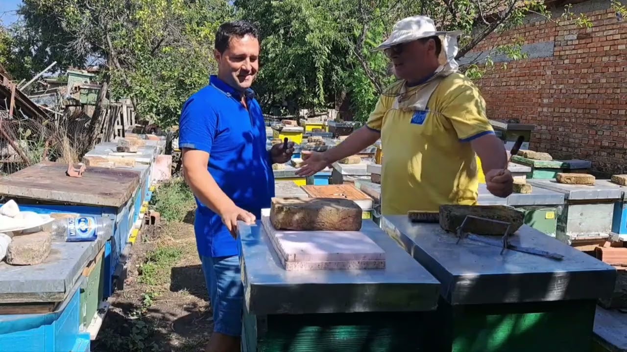 În stupina domnului doctor Gabrijel Petrović🐝🐝🐝