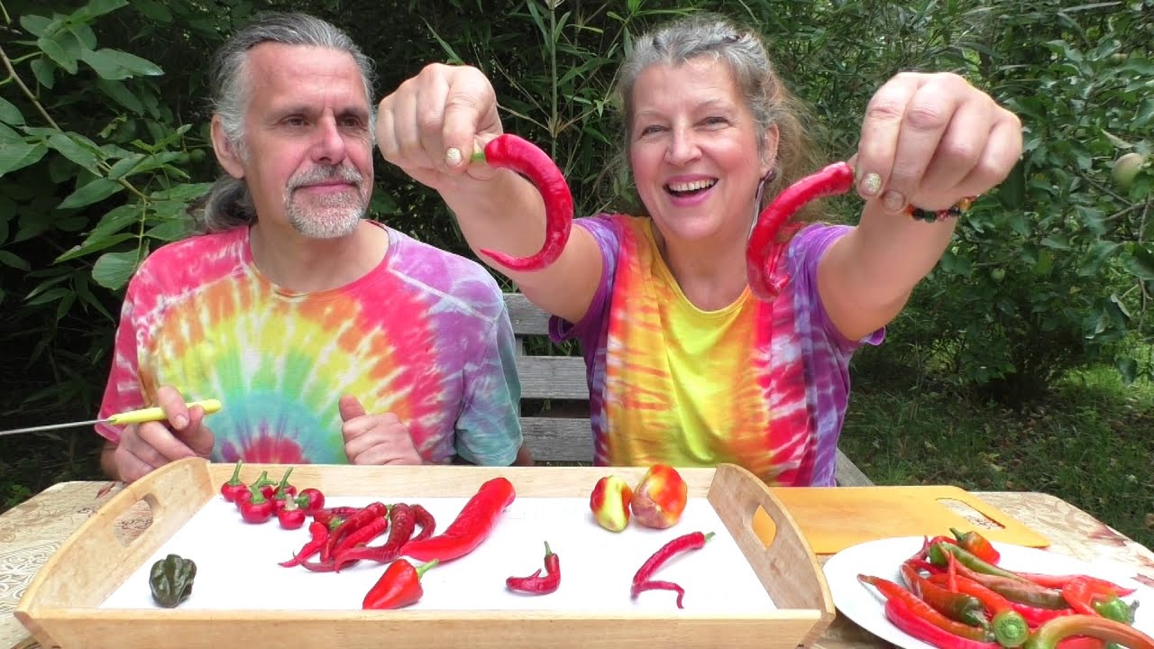 Pěstujeme a ochutnáváme CHILLI PAPRIKY -  různé odrůdy + účinky pálivých paprik na zdraví
