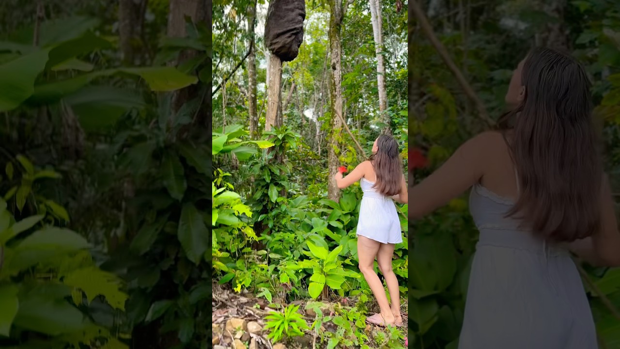 What&rsquo;s Hiding in This Giant Tree Nest?! 🐜😱