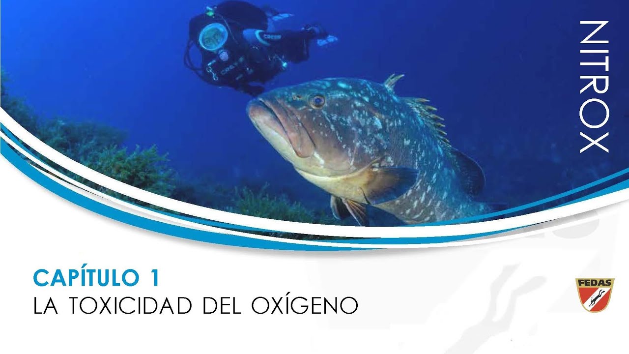 Buceo con Nitrox (FEDAS): 1. LA TOXICIDAD DEL OXÍGENO