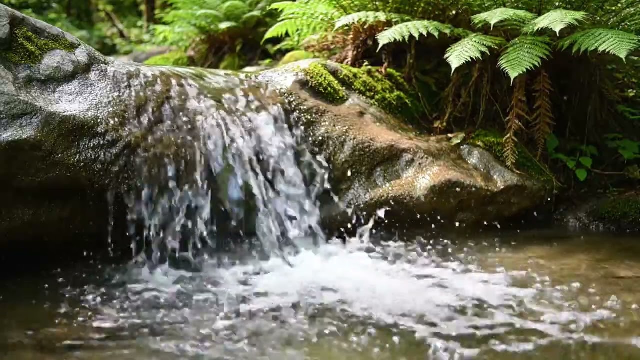 Gentle Flowing Water Sounds for Deep Sleep & Relaxation | Nature ASMR