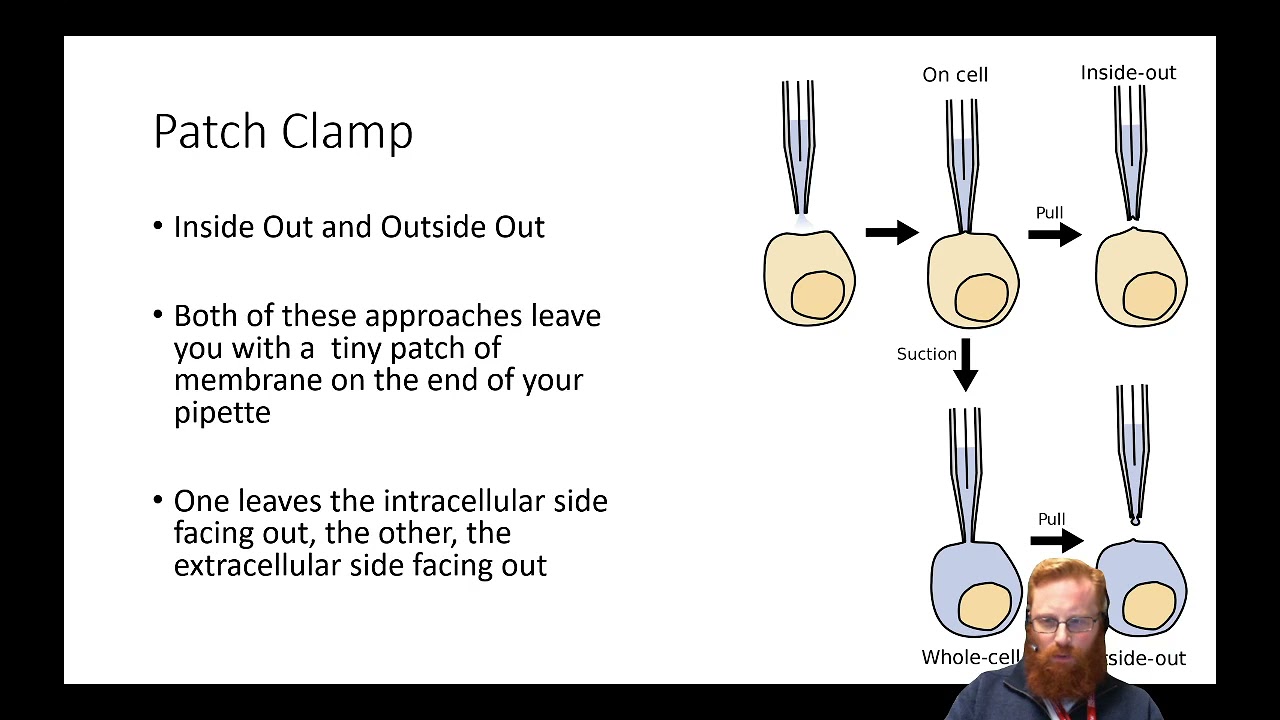 Electrophysiology 5 - Intracellular Recording