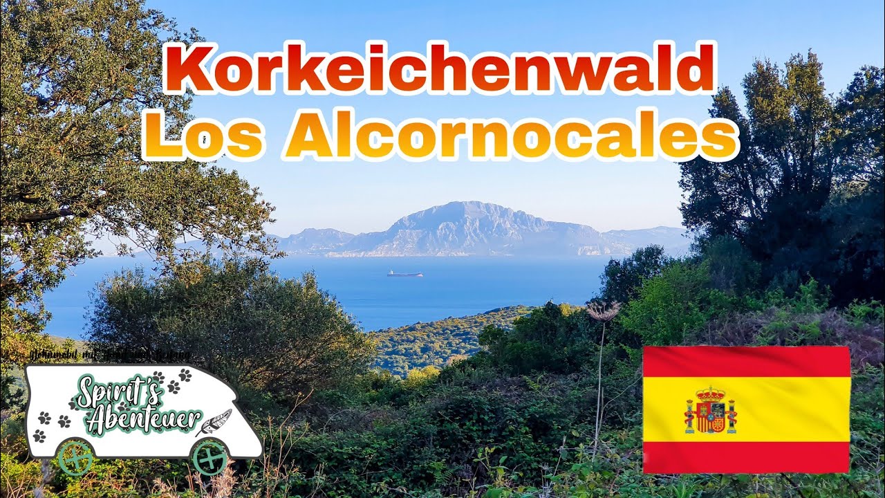 Mit dem Wohnmobil durch Spanien - Der gr&ouml;&szlig;te Korkeichenwald Spaniens - Naturpark Los Alcornocales
