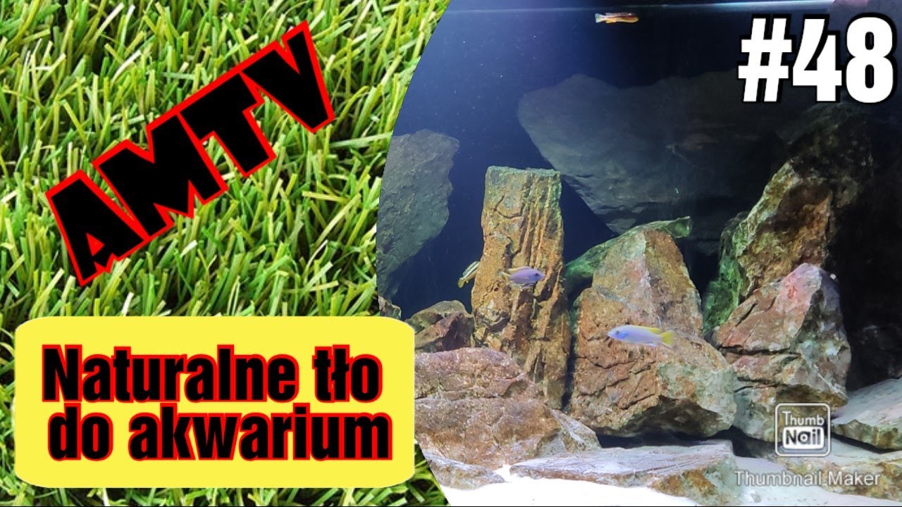 48#Tło do akwarium - Jak zrobić naturalne tło do #malawi.