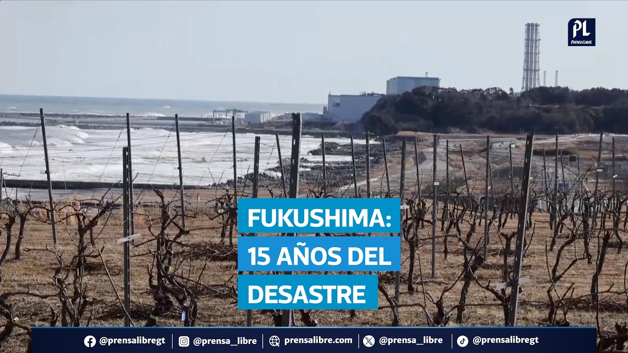 Fukushima 15 años después: entre la memoria del desastre y el debate nuclear