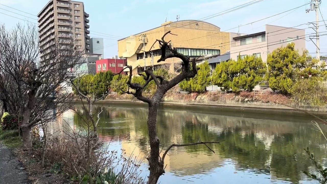 2026年2月16日