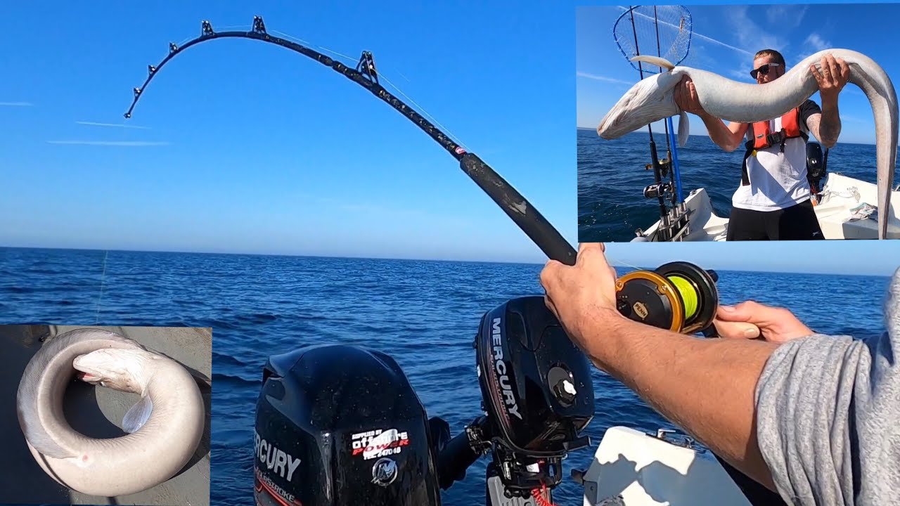 SHIPWRECK FISHING FOR BIG CONGER EEL