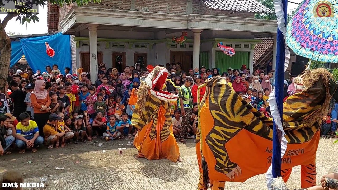 BARONGAN NDADI - WAHYU BUDOYO SIDODADI LIVE WINONG 2022