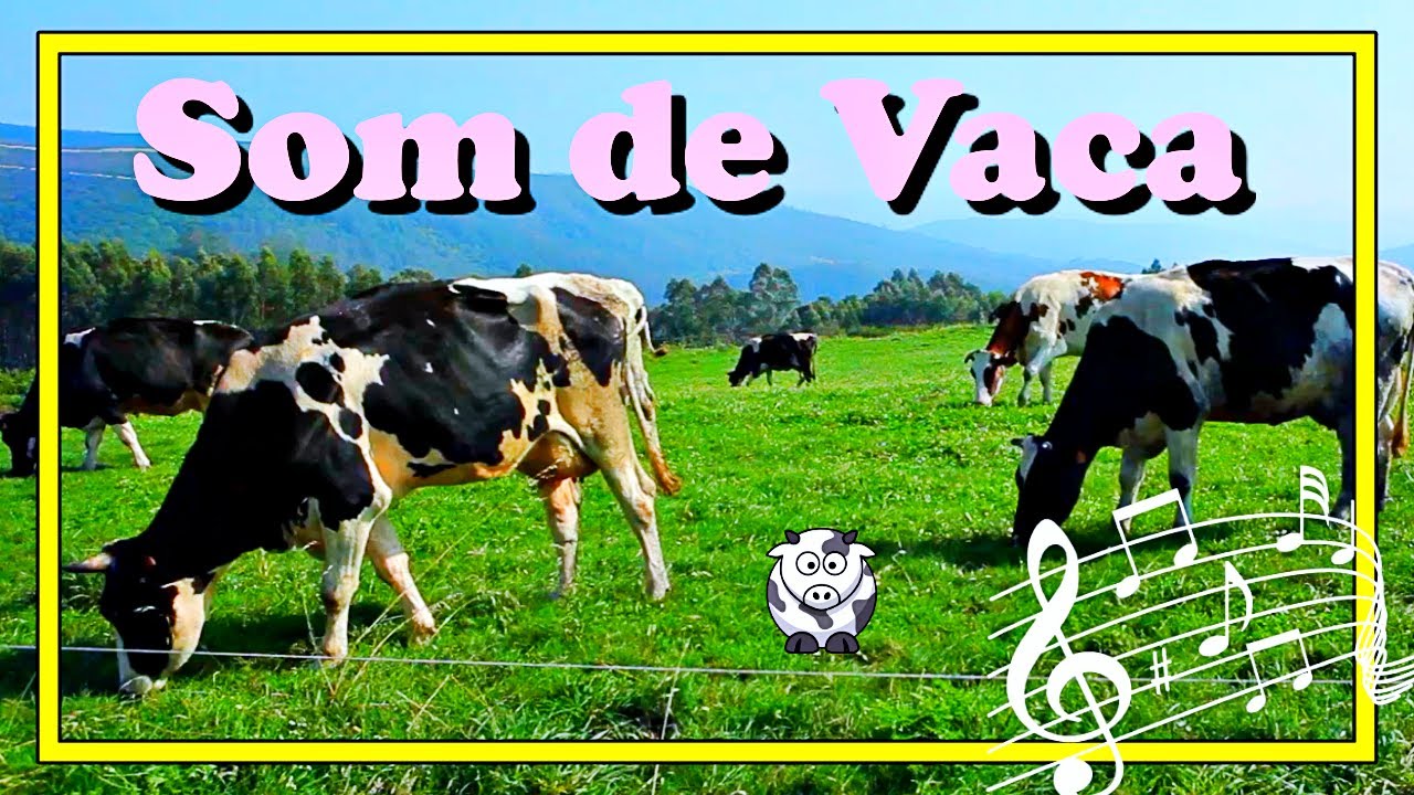 🎶 SOM DE VACA | 🐮VACA MUGINDO |🐄 VACA BERRANDO | 🐂SOM DE VACA