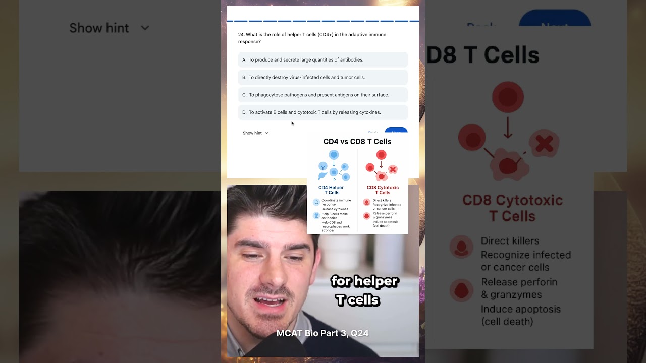 What is the role of helper T-cells - CD4+ vs CD8+ T cells in immune system - biology on the MCAT