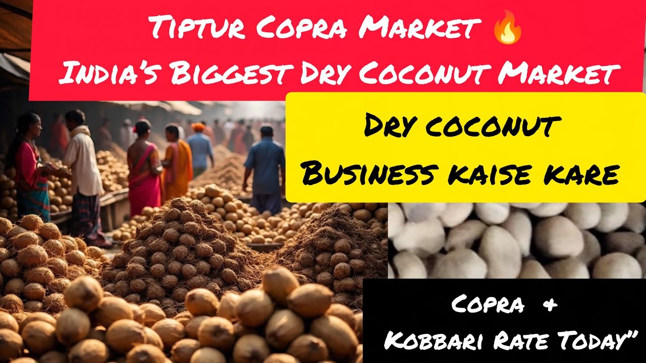 Tiptur Copra Market 🔥 India’s Biggest Dry Coconut Mandi | Khopdi & Kobbari Rate Today” #viral 
