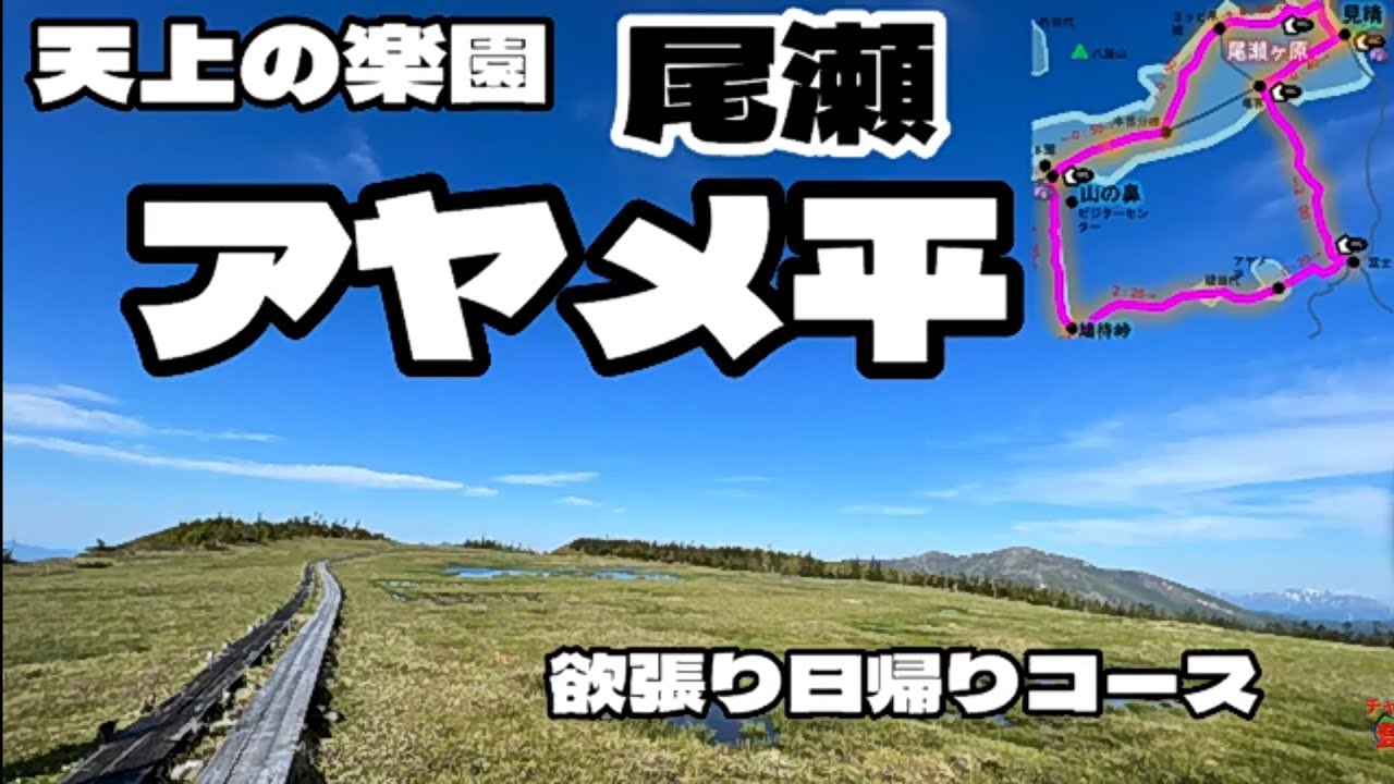 【尾瀬アヤメ平】2023尾瀬ヶ原と欲張り日帰り