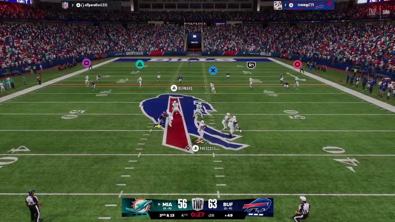 🐬