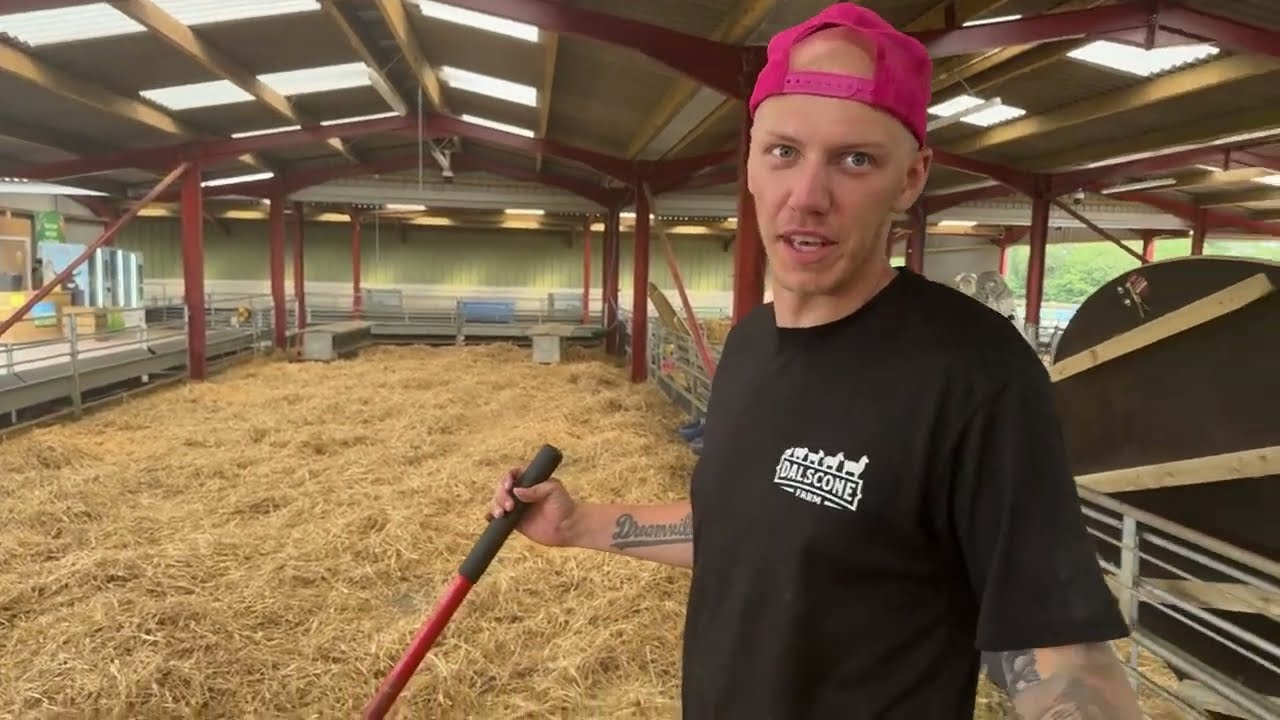 We’ve been waiting for this day for months!! Our sheds are empty… let’s fill them back up!