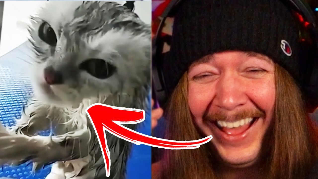 Jimmy Here LOSES It To Unusual Memes