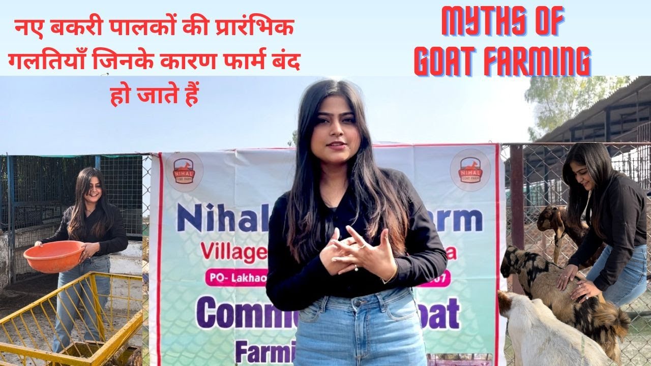 नए बकरी पालकों की प्रारंभिक गलतियाँ जिनके कारण फार्म बंद हो जाते हैं| Goat farming| Nihal Agro Farm