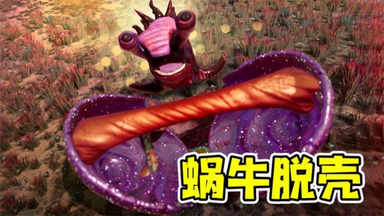 毛球历险记2-蜗牛出壳？赶紧把它家偷了，气的火冒三丈！ | 勾魂公狒狒