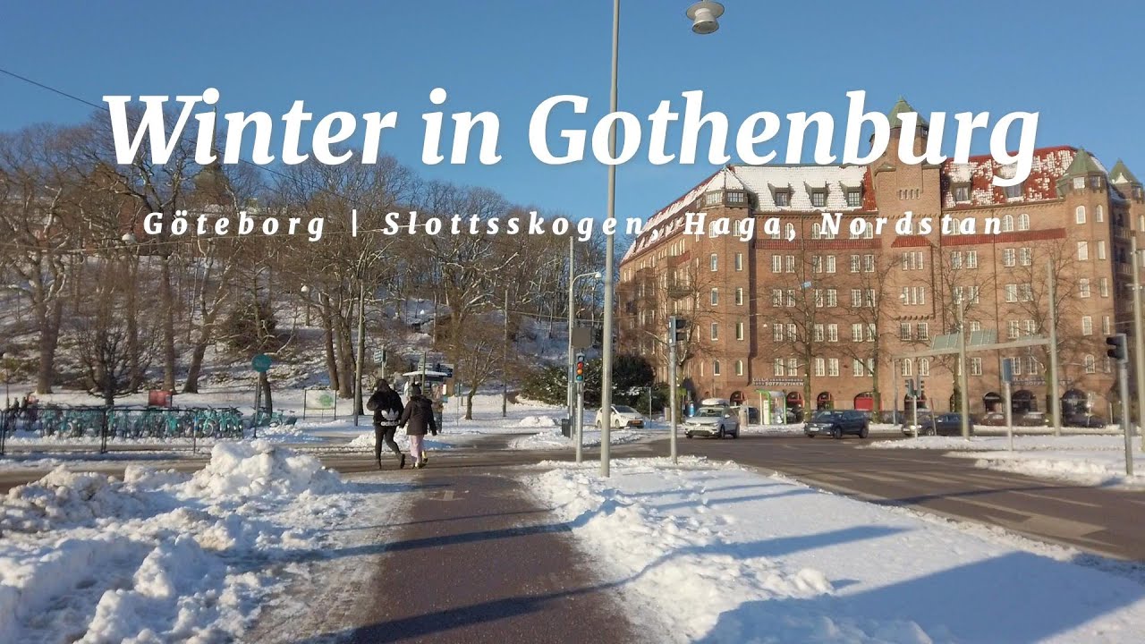 Winter in Gothenburg  🤍☃️❄️🌟 #göteborg #gothenburg #sweden