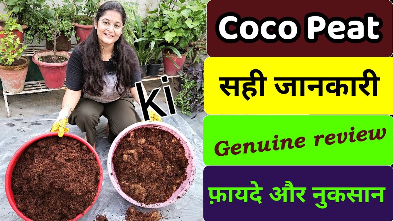 🔴COCOPEAT USES BENEFITS क्या COCOPEAT सच में बागवानी के लायक है #cocopeat #gardening