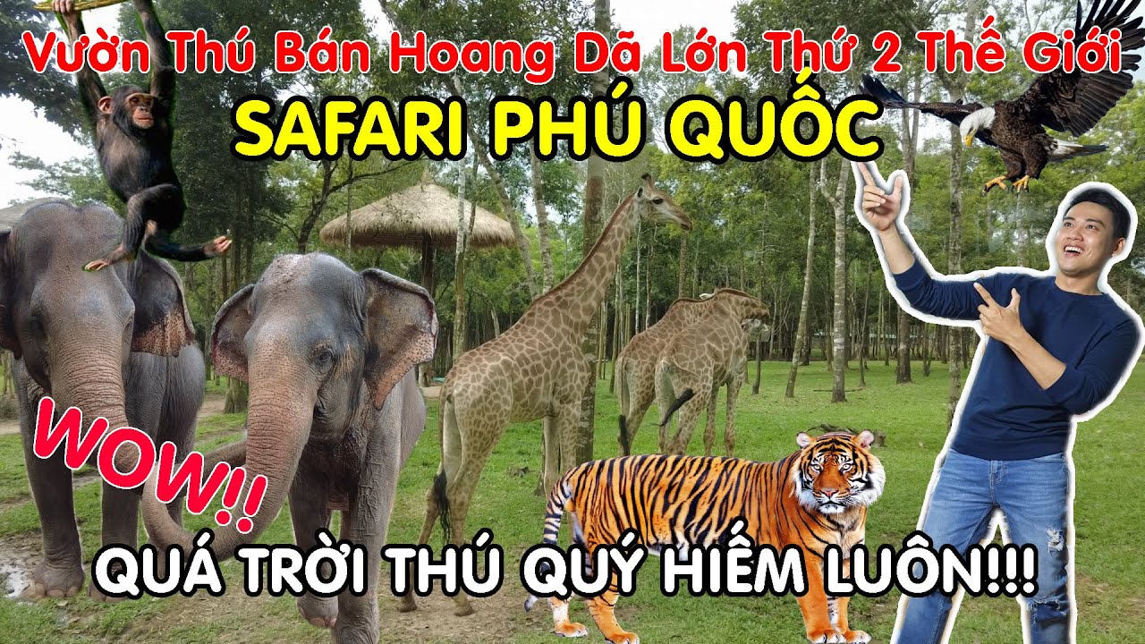 SAFARI PHÚ QUỐC - Vườn Thú Bán Hoang Dã Lớn Thứ 2 Trên Thế Giới - Quá Trời Động Vật Quý Hiếm Luôn!!!