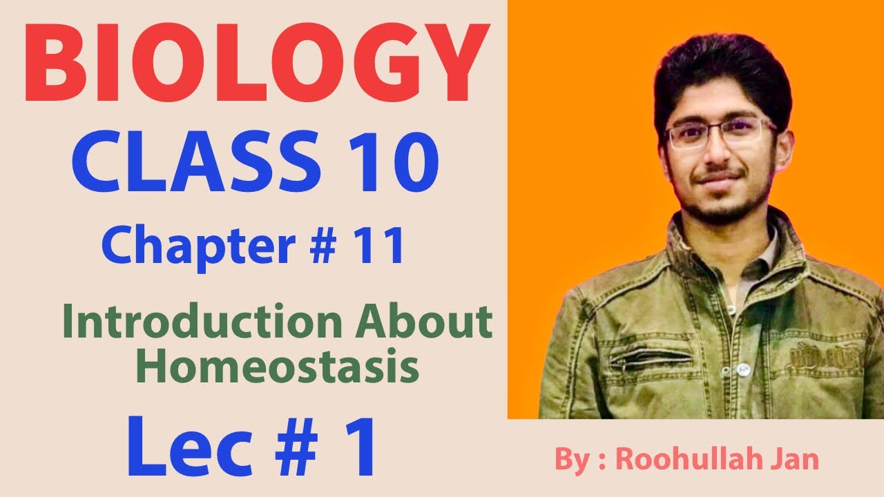 10th Class Biology, Ch 11, Introduction About Homeostasis - Matric Class Biology - lec 1