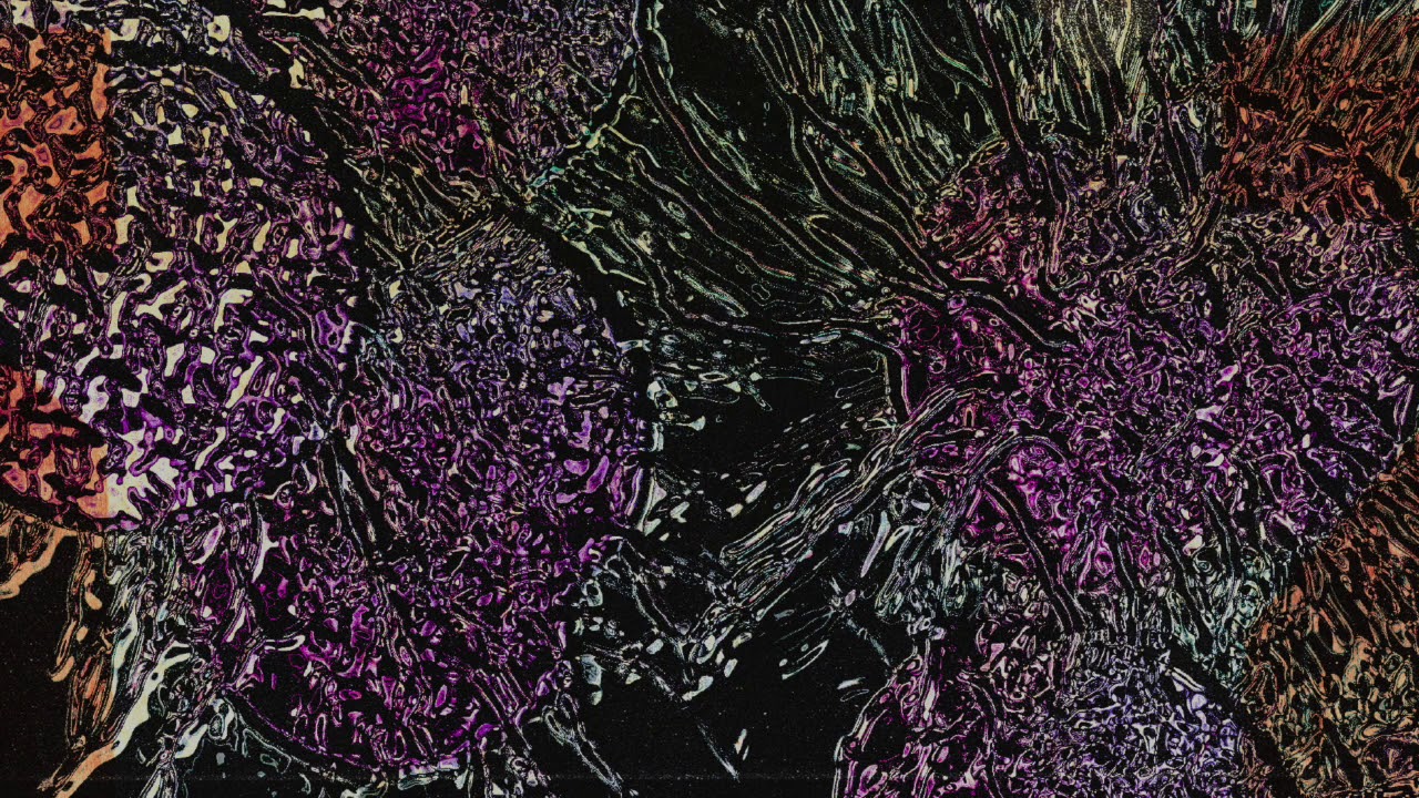 Sig Nu Gris - Amoeba (Official Audio)