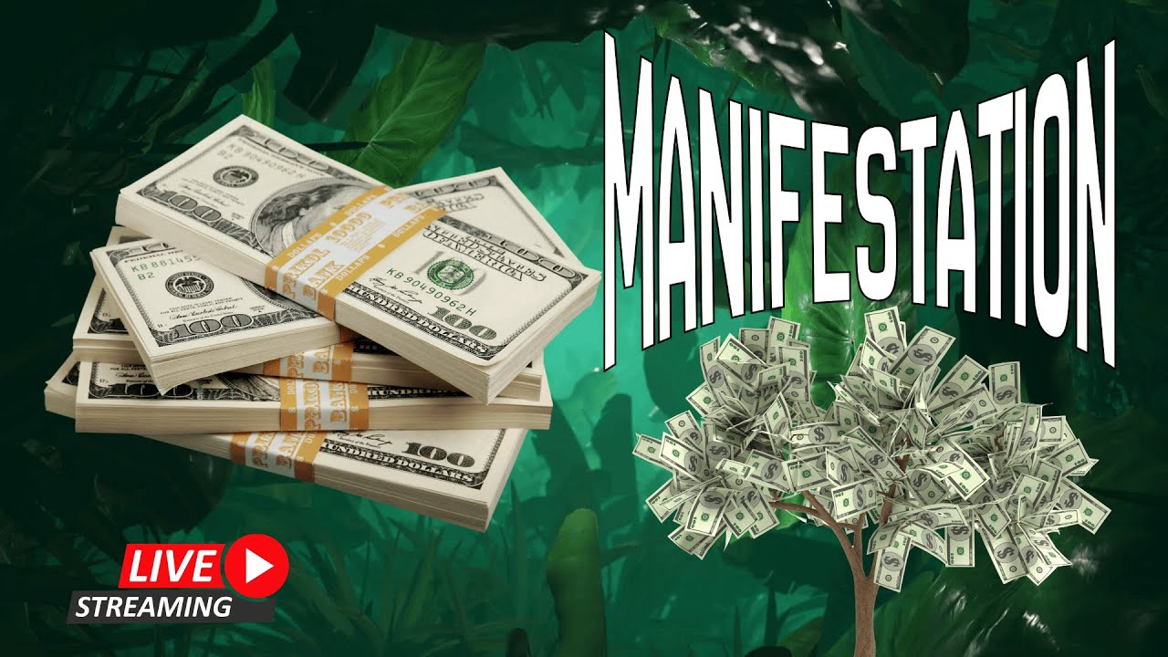 Jungle Money Affirmations Loop 🌿 Attract Wealth, Abundance & Success | More Money Mindset