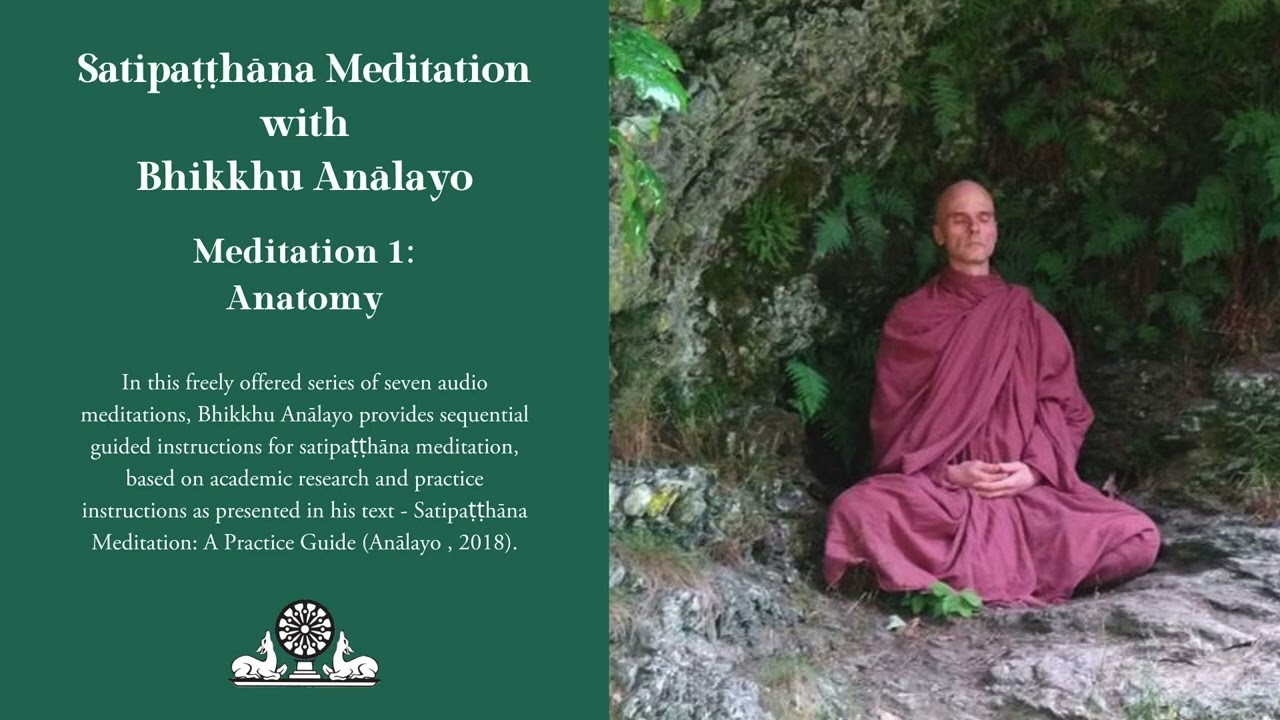 Meditation 1: Anatomy