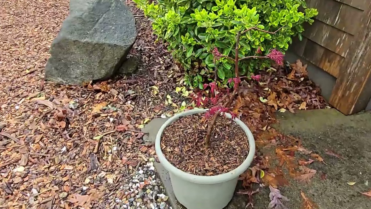 Cape Cod Garden Tour 4/26/25