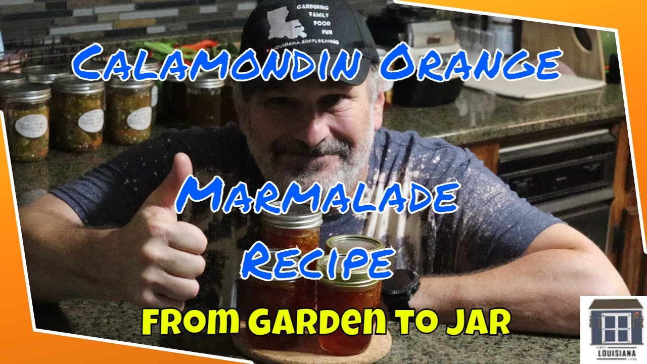 Calamondin Orange Marmalade Recipe: From Garden to Jar