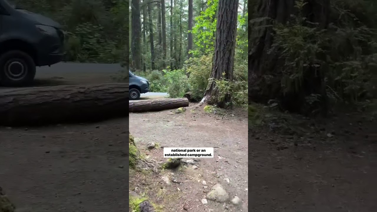 Our process for finding the best dispersed camping spots 🏕️👇 Our favorite way to camp is off-grid