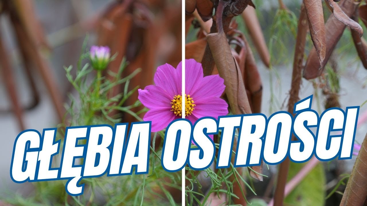 Głębia ostrości - po prostu