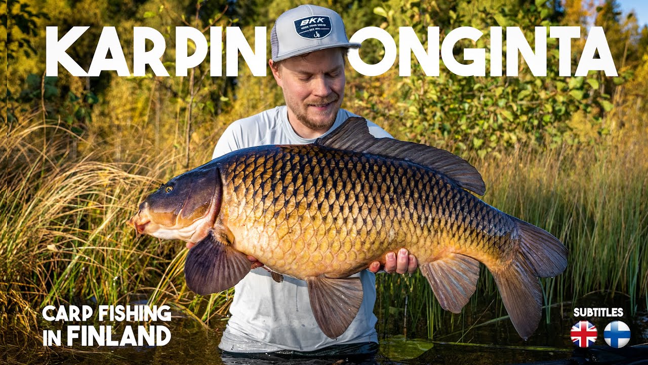 SUOMEN UPEIN KALASTUSMUOTO | Carp Fishing in FINLAND
