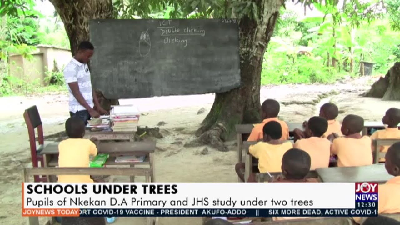 Students of Nkekan D.A Primary and JHS study under trees  -  Joy News Today (20-1-21)