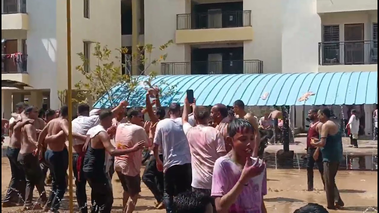 Holi Celebration/ দোল পূর্ণিমায় রং খেলা 🦋