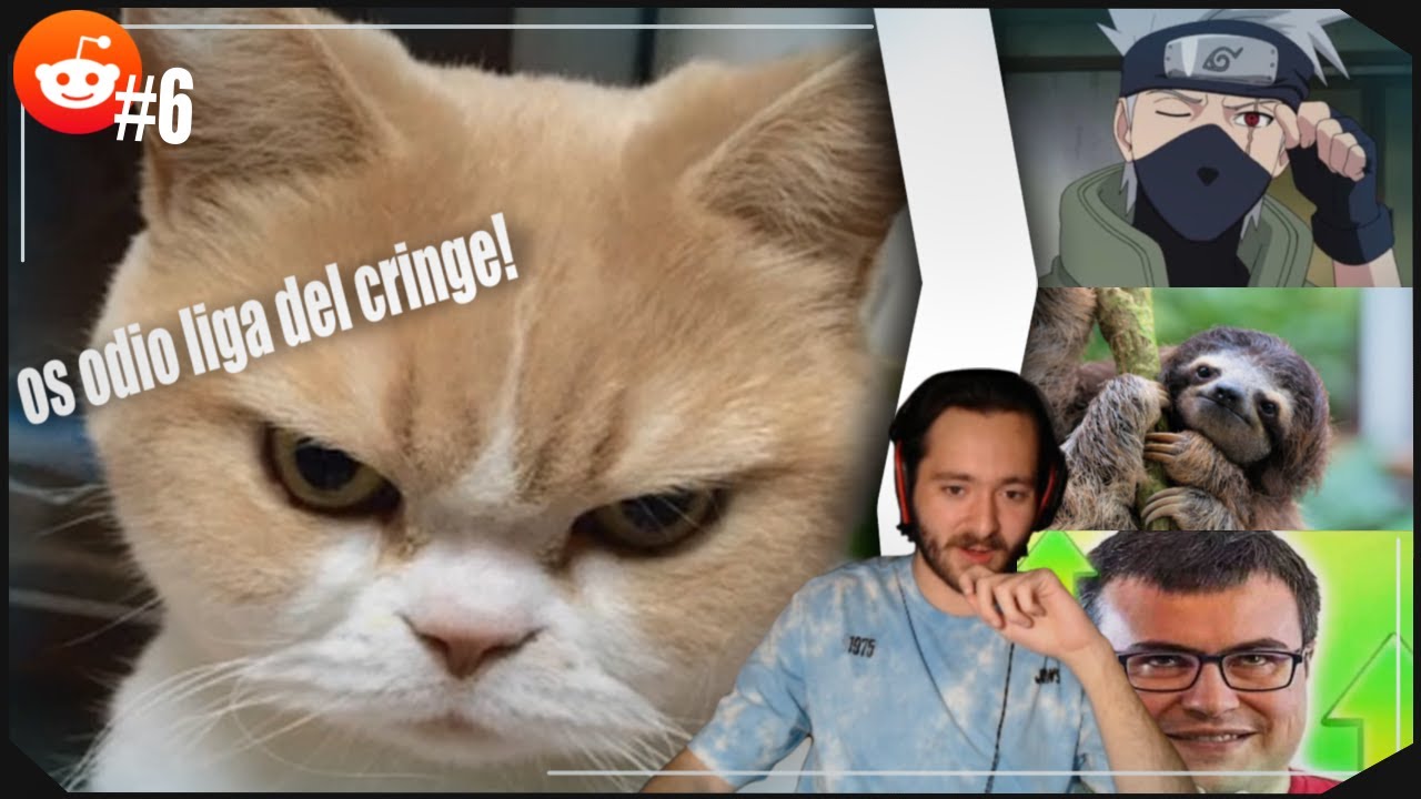 NADIE SE ESCAPA DEL GATO | Reddit #6
