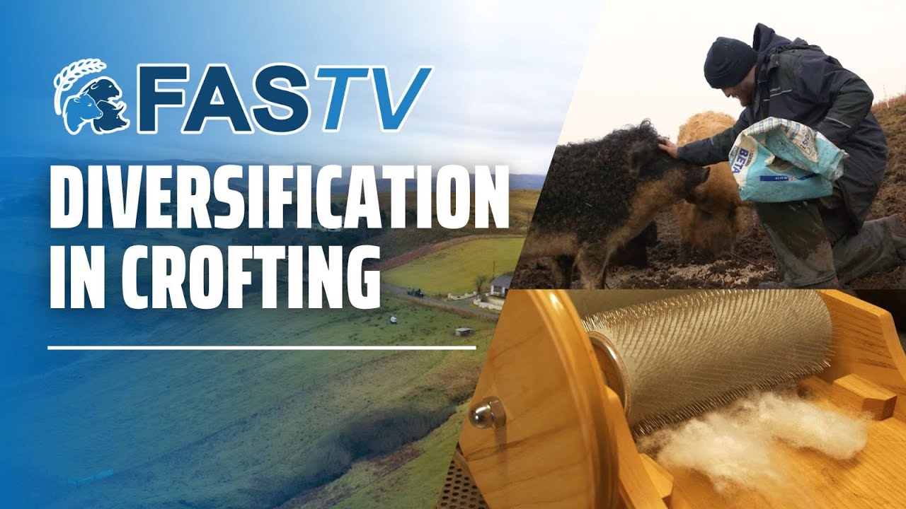 FAS TV Series 4 Ep 27: Diversification in Crofting
