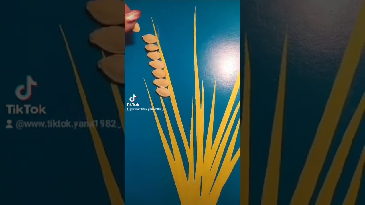 Аплікація 