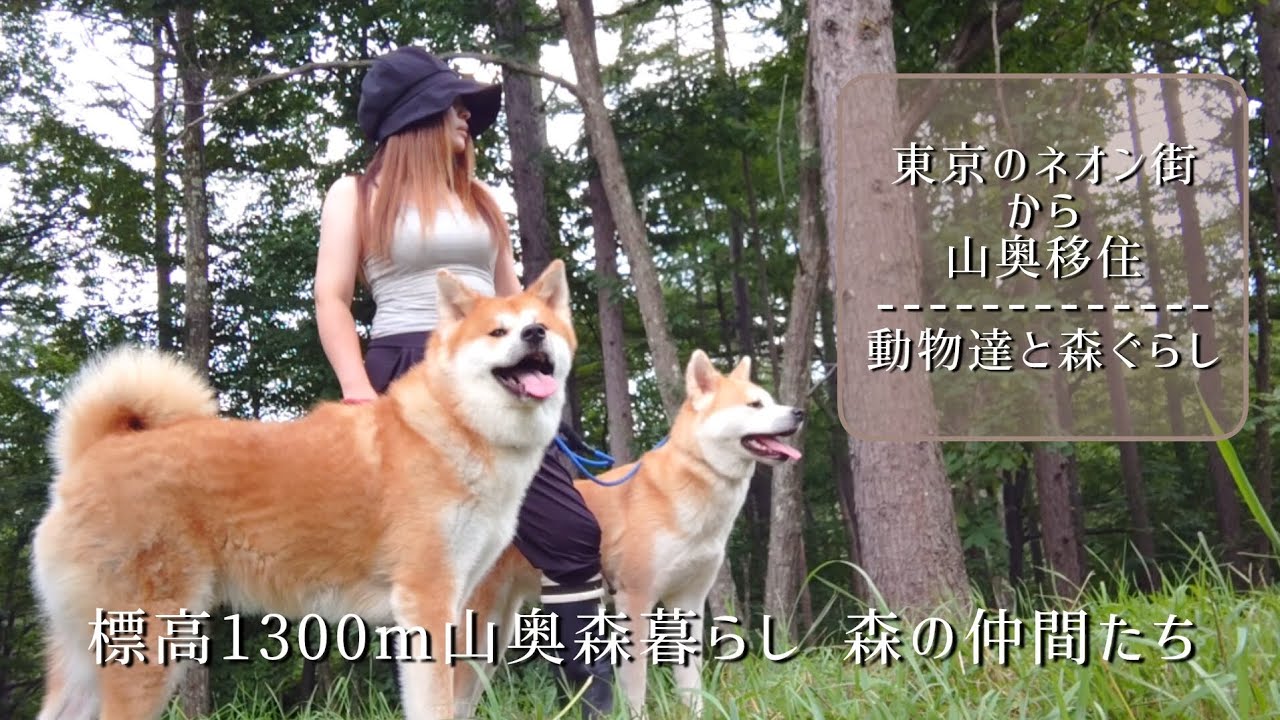 標高1300m山奥森 森の仲間たち