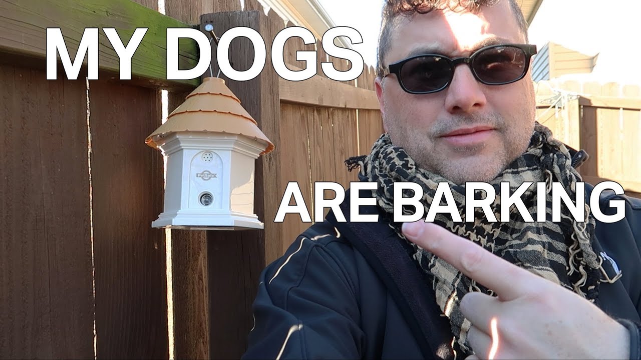 My Dogs Are Barking | Petsafe Elite Outdoor Bark Control Unboxing