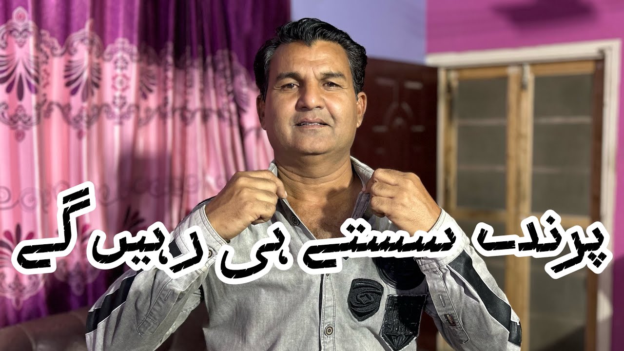 Parinday Sastay Hi Rahenge | Parinda Party & Others | 07/03/26 | North Karachi