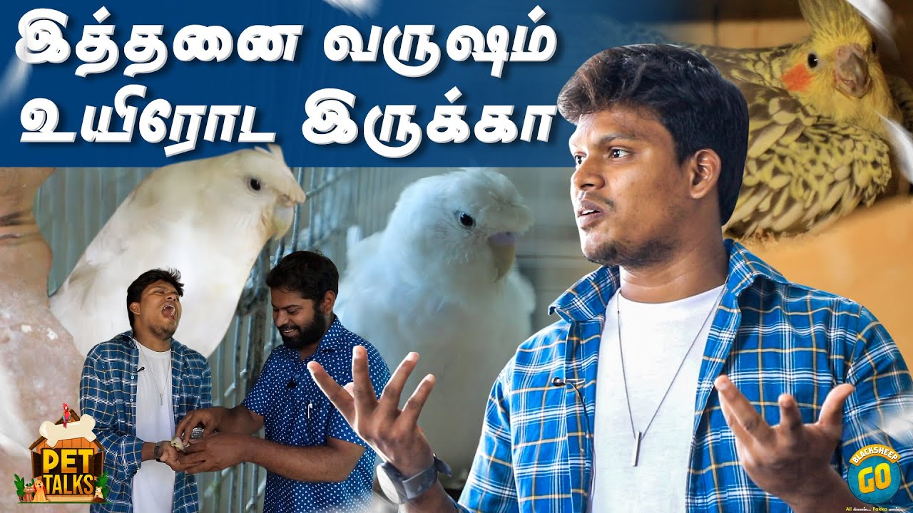 இத்தனை வருஷம் உயிரோட இருக்கா..!! | Pet Talks | Blacksheep Go