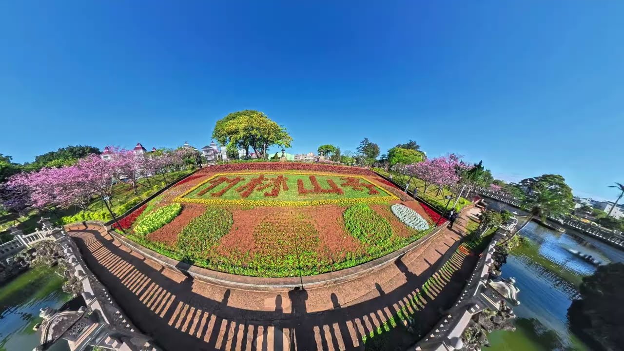林口竹林山觀音寺櫻花2026