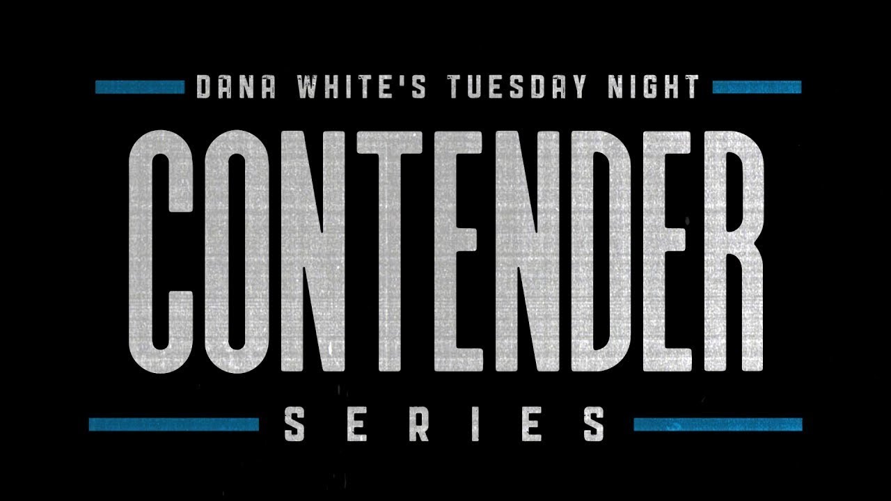 Dana White's Contender series 2024 Week 8 Full Card Predictions
