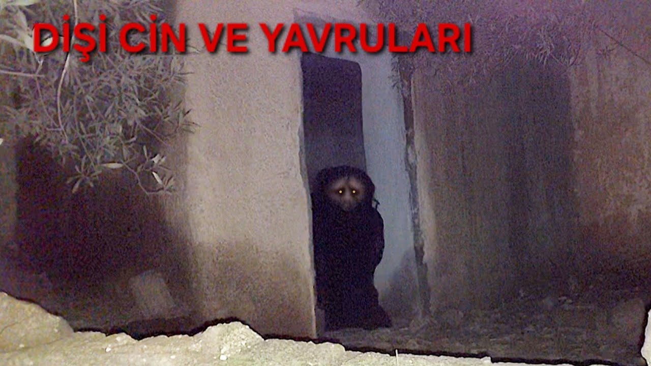 TERKEDİLMİŞ BİR EVDE DİŞİ CİN VE YAVRULARI Paranormal olaylar 