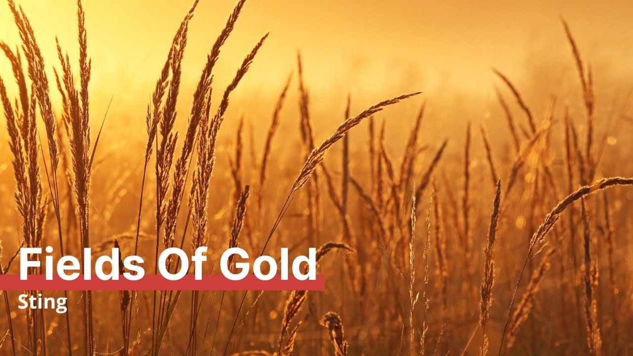 Fields Of Gold | Sting → Cello, Piano & mehr zur Hochzeit, Trauung & Sektempfang