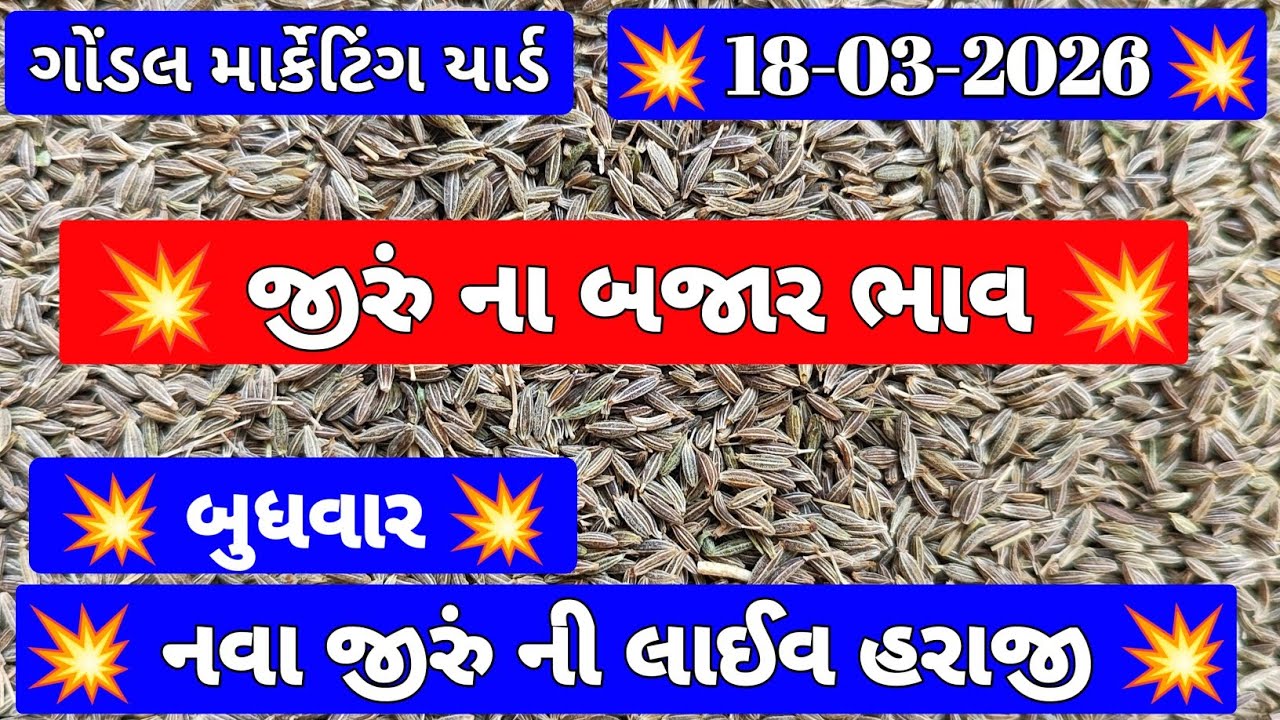 JEERA NA BHAV | 18-03-2026 | જીરા ના બજાર ભાવ | Cumin Market Price | ગોંડલ માર્કેટ યાર્ડ ના ભાવ 